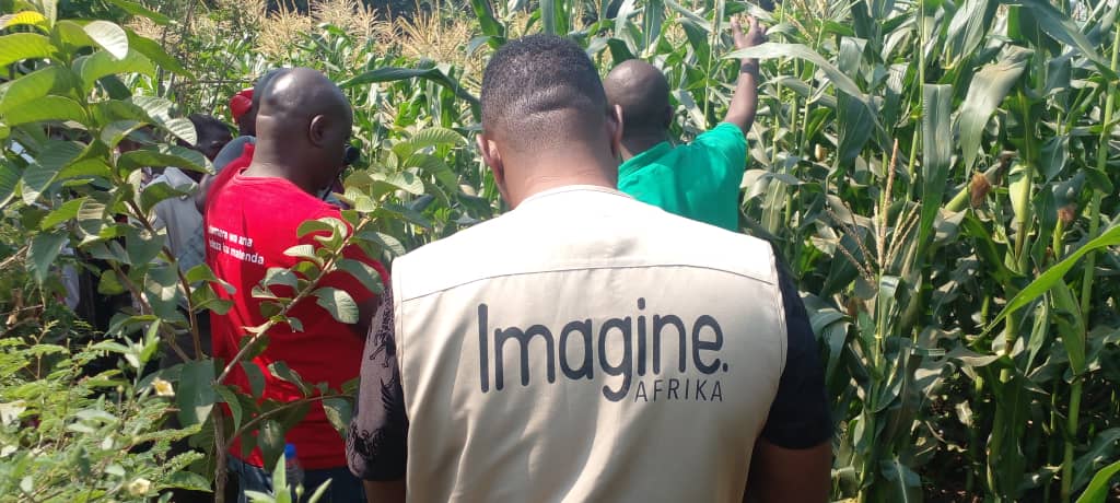 Imagine Africa Documentary: Greener Farms with Gliricidia